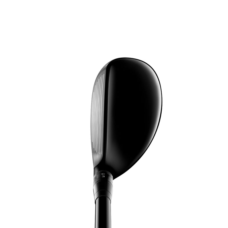 Hybride TS3 | Gaucher