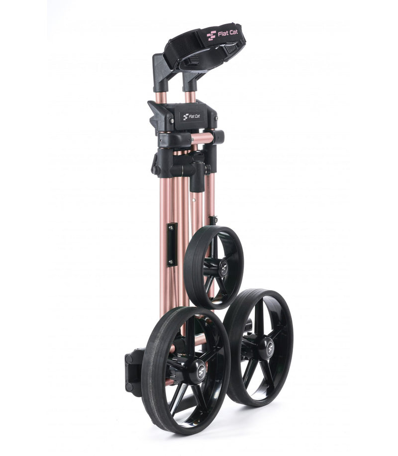 GEAR Rose Li-Fe (Frein)