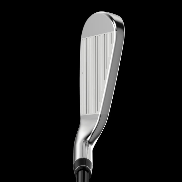 Série de fers Great Big Bertha Graphite | Droitier