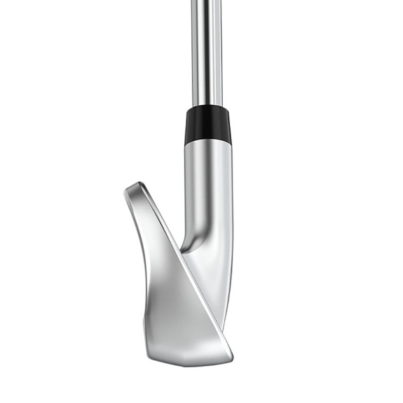 Série de fers XXIO X (Eks2) Graphite