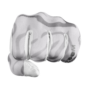 Gant Zoom Sun White Zebra Femme