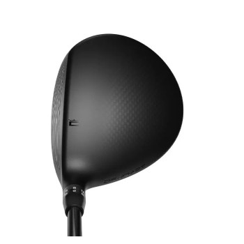 Bois DS Adapt Max Femme 2