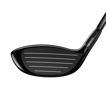 Mini Driver GT280 | Gaucher 2