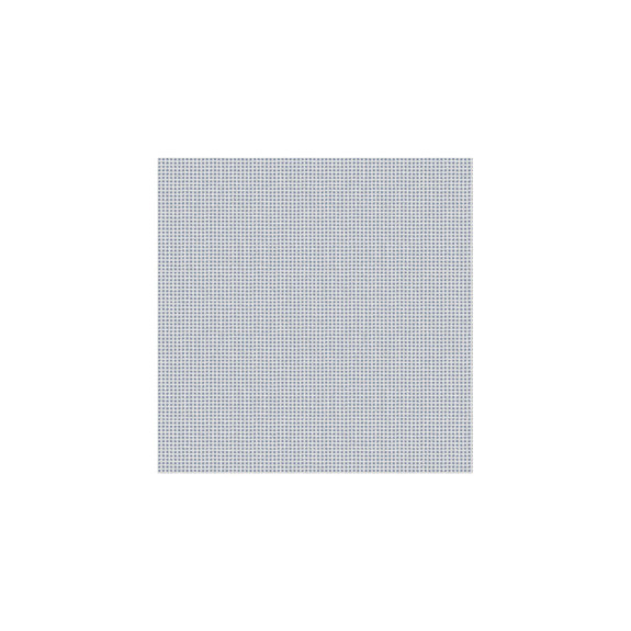 Pantalon Rookie Summer Print Bleu Clair Homme