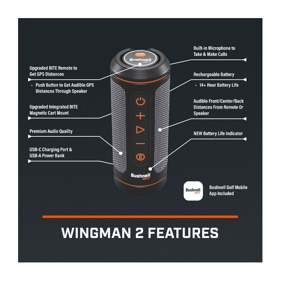 Enceinte GPS Wingman 2