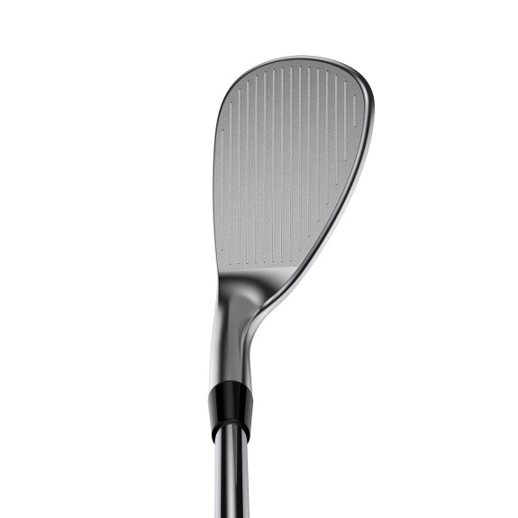 Wedge Pur Silver Versatile Acier