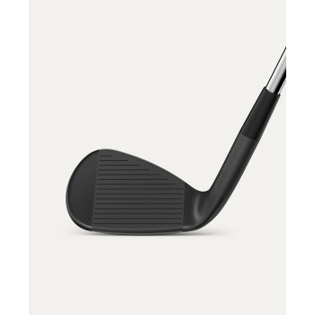 Wedge Infinite Acier | Gaucher 2