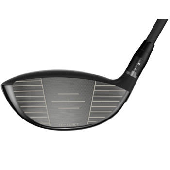 Driver Quantum Max Fast 2