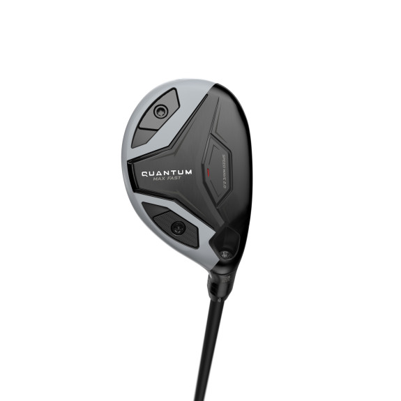 Hybride Quantum Max Fast