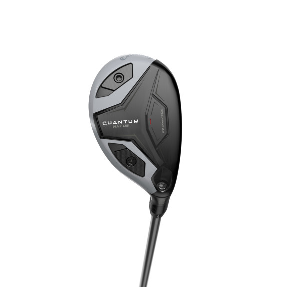 Hybride Quantum Max OS