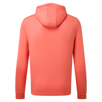 Hoodie léger Rouge Homme