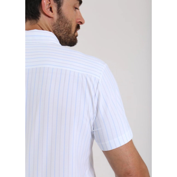 Polo Armas Azure Lilac Lines Homme