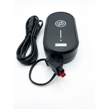 Chargeur de batterie Lithium pour chariots NX