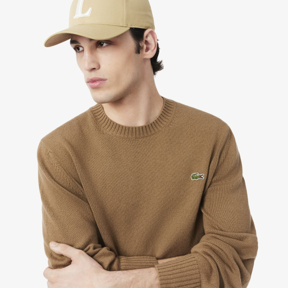 Pull en laine col rond Marron Homme