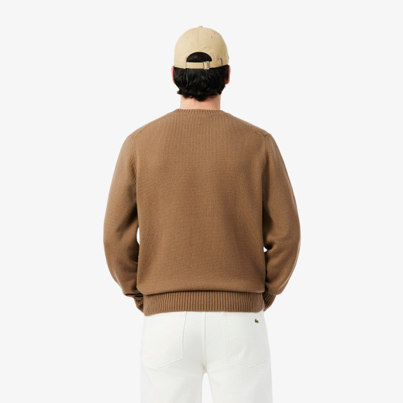 Pull en laine col rond Marron Homme