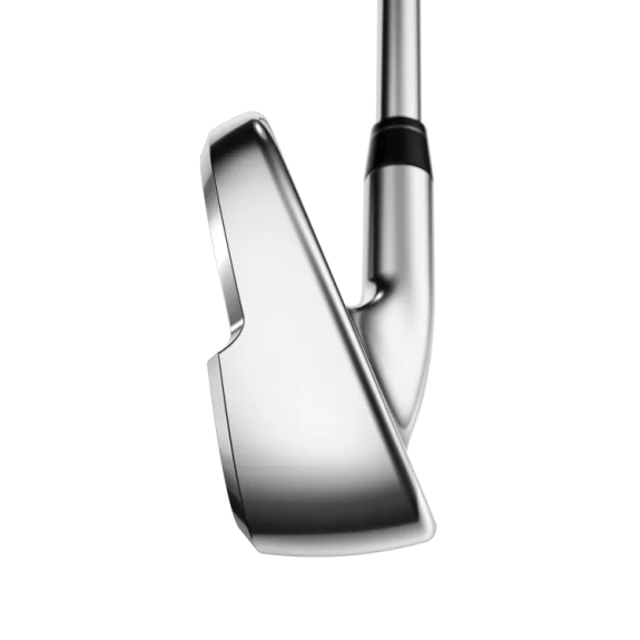 Série de fers Paradym X Graphite