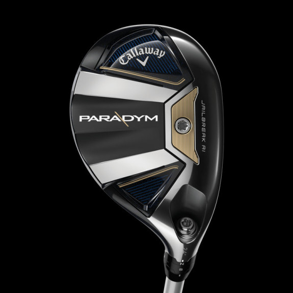 Hybride Paradym | Gaucher