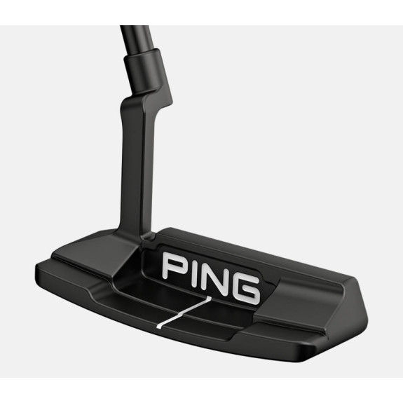 Putter Anser 2D | Custom